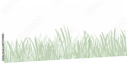 A simple illustration of green grass blades against a white backdrop