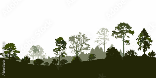 Silhouetted forest landscape with varying tree heights against a white background