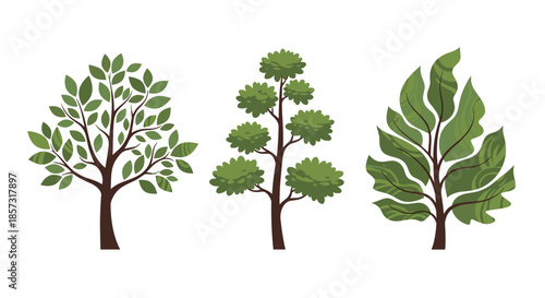 Three uniquely styled trees for whimsical designs, perfect for nature-themed projects or adding a touch of organic charm to your creative work