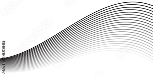 abstract trendy black curved thin line pattern art perfect for background.