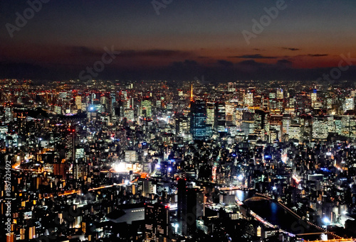 Wallpaper Mural 東京スカイツリーからの眺め・夜景・東京タワー（西方向） Torontodigital.ca