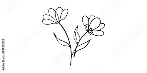 Minimalist floral sketch Delicate lines forming abstract flower shapes on black