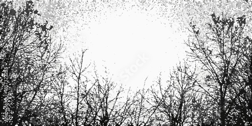 Bare trees frame a bright intense circular light source in the sky