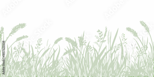 A simple illustration of green grasses and wheat stalks against a white background