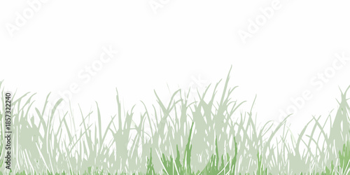 A simple view of vibrant green grass blades against a white background