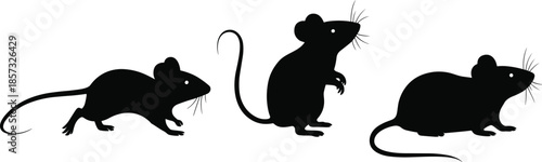 A Set of Three Black Silhouettes of Mice in Various Poses, Including Crawling, Sitting, and Standing, Isolated on a Plain White Background.