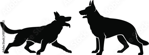 Two Detailed Black Silhouettes of German Shepherd Dogs, One in an Active Running Stance and One Standing Alert, Isolated on White