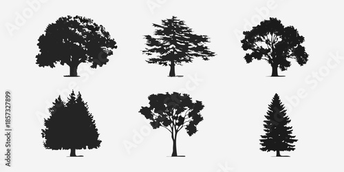A collection of six diverse tree silhouettes against a plain white background
