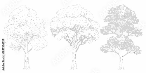 Three trees in varying shades of gray depicted in a sketched style