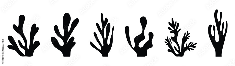 Obraz premium Organic seaweed and coral silhouettes in black; abstract underwater plant shapes, minimalist aquatic leaf collection; modern vector illustration set