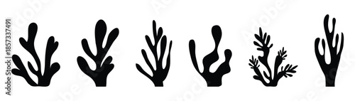 Organic seaweed and coral silhouettes in black; abstract underwater plant shapes, minimalist aquatic leaf collection; modern vector illustration set