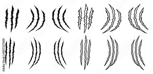 Black claw marks and animal scratch silhouettes, modern vector illustration