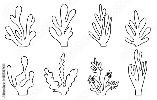 Organic seaweed and coral silhouettes in black; abstract underwater plant shapes, minimalist aquatic leaf collection; modern vector illustration set