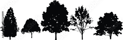 A row of trees are shown in black and white. The trees are of different sizes and are lined up next to each other. The image has a calm and peaceful mood, as the trees are all standing tall and strong