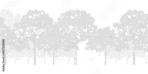 A serene silhouette of trees against a bright soft background