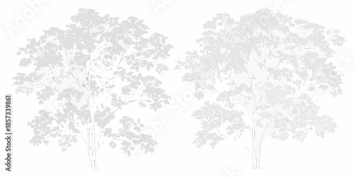 Two detailed silhouette trees with lush foliage and slender trunks