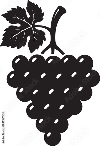 A cluster of ripe grapes with a single leaf and stem, presented as a black and white for harvest and wine also transparent background