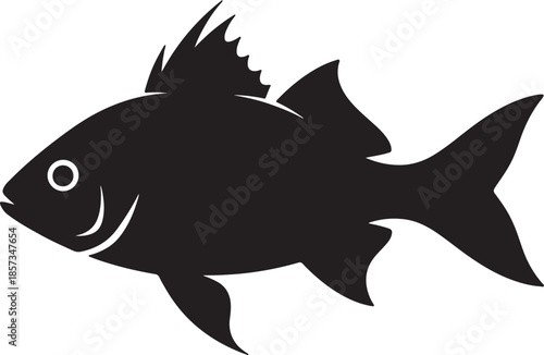 Black silhouette of a fish with spiky dorsal fin and flowing tail on a white background depicting marine life and underwater ecosystems also transparent background