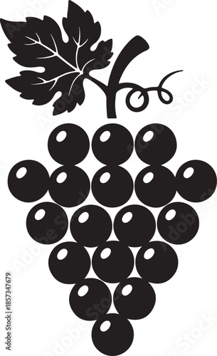 Bold black and white of a cluster of grapes with a detailed leaf and tendril on a white background fruit also transparent background