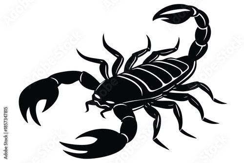 scorpion vector icon silhouette