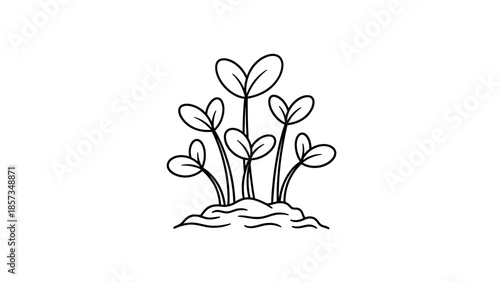 Hand-drawn illustration of young plant sprouts emerging from fertile soil, symbolizing growth, new beginnings, and the cycle of nature