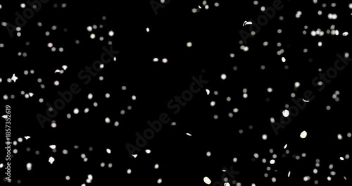 White flower petals sway in the wind. Isolated on black background. 4K 3D rendering loop animation.