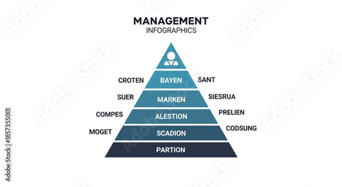 Management Infographic Pyramid Chart with Hierarchy Levels and Labels