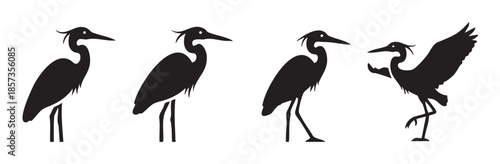Four elegant heron bird silhouettes standing and posing in various graceful positions, showcasing their distinctive long necks and legs.