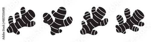 Ginger roots graphic illustration set of four minimalist black and white icons arranged horizontally, perfect for culinary and health-related designs.