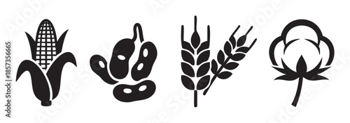 Agricultural crops icons featuring corn, soybeans, wheat, and cotton are essential symbols of global food and fiber production, agriculture, and farming industry.