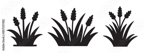 Three stylized grain plants are depicted as simple vector icons, perfect for agricultural, food, and harvest-related design projects.
