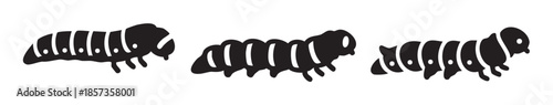 Three black silhouette caterpillars crawling on a surface, depicted in a simple, stylized vector illustration suitable for various design projects and educational materials.