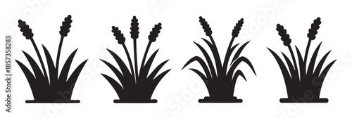 Four stylized grain plants with seed heads and leaves growing in a row, presented as black silhouettes in a simple, graphic illustration.