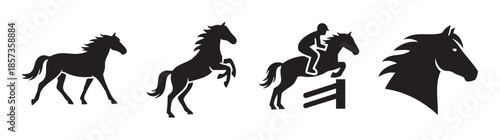 Horse silhouettes depicting various poses and equestrian activities, including walking, rearing, jumping with a rider, and a detailed head profile.