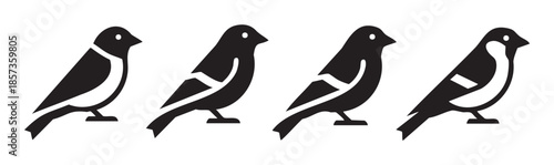 Four black bird icons are presented in a row, featuring a minimalist and modern design suitable for various digital and print applications.