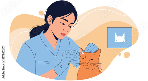 Professional female veterinarian carefully cleaning the ear of a cute ginger cat using a cotton swab in a medical clinic.