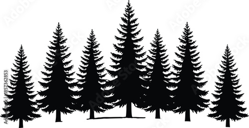 Pine forest silhouette illustration, evergreen conifer trees landscape, black white nature graphic isolated background woodland scenery