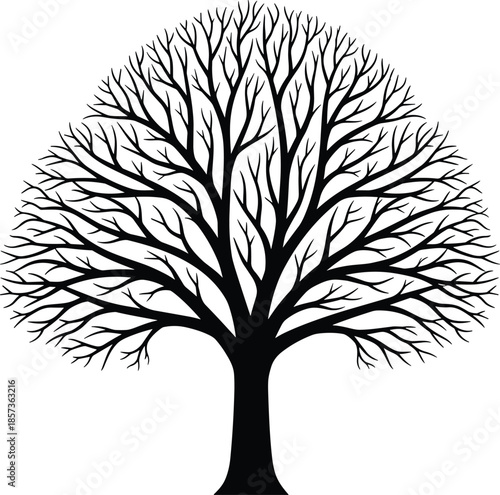 Bare tree silhouette with intricate branching structure, minimalist winter nature illustration, elegant black vector art, isolated on white background design