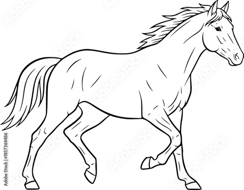 Vector Horse Black And White Running Illustration Design