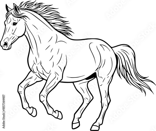 Vector Horse Black And White Running Illustration Design