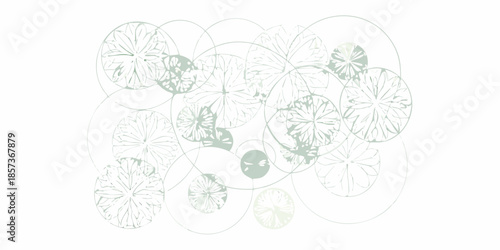 Delicate overlapping circles and botanical elements in a pale green tone