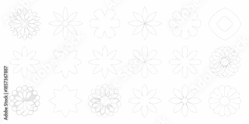 Collection of delicate floral sketches and geometric shapes on a white background