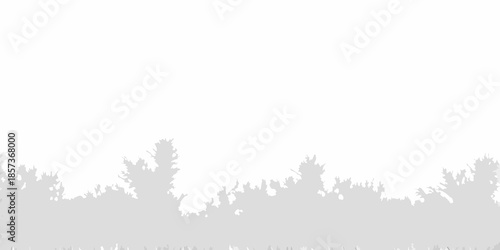 Silhouetted trees against a bright light gray and white background