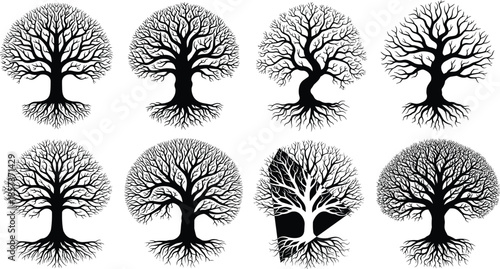 Bamboo Leaves Silhouettes Set, Tropical Asian Plant Black Vector Icons, Nature, Forest, Decoration, Botany, Jungle, Oriental Graphic Collection