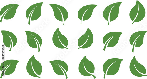 Green Eco Leaf Icons Vector Set, Nature Organic Natural Logos, Environmentally Friendly Plant Symbols, Fresh Clean Minimalist Design Elements, Sustainable Life Ecology Concept