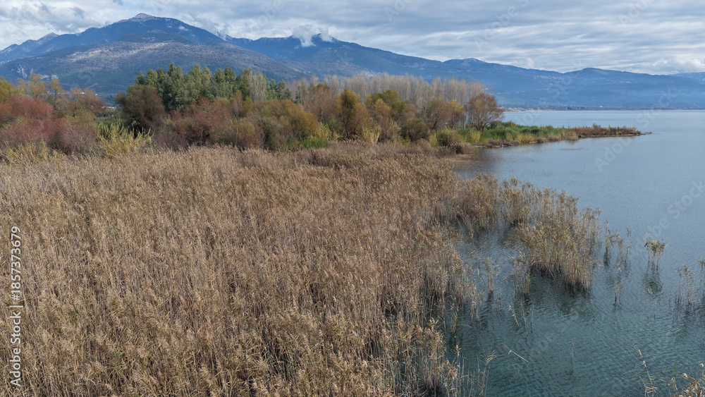 Fototapeta premium Wetland landscape of Lake Trichonida, Greece, with calm waters, rich biodiversity and natural reflections. A peaceful Mediterranean ecosystem ideal for nature and environmental themes.