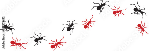 Marching ants forming a curved trail on a white background. Black and red insect silhouettes create a playful movement pattern. Perfect for pest concepts biology design or decorative illustrations.