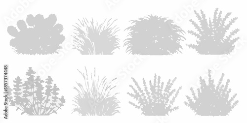 Silhouettes of various bushes and shrubs in a grayscale botanical illustration