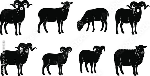 Sheep and Ram Silhouettes Collection, Different Positions Black Icons, Farm Animals Vector Set, Livestock Mammals, Domestic Sheep, Ewes, Lambs, Male Rams