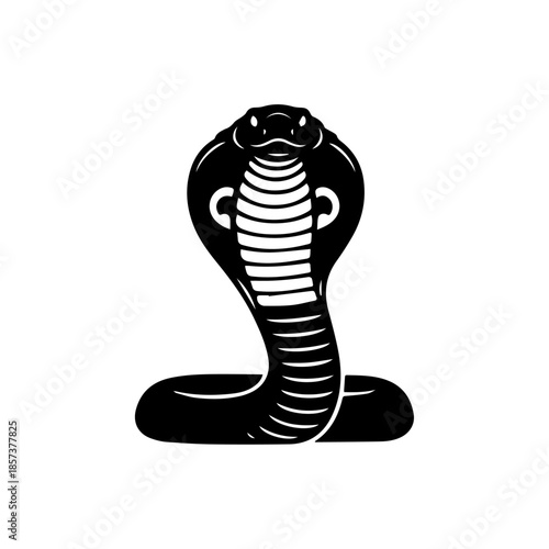 Black and white illustration of a cobra snake in defensive posture with expanded hood and coiled body